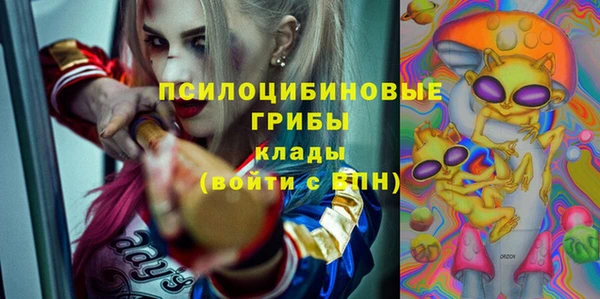 не бодяженный Корсаков