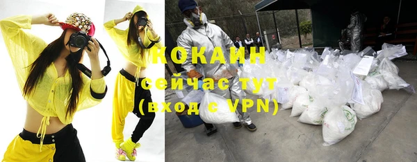 СК Кукмор